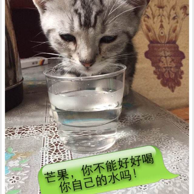 哪里能办南加州大学毕业证